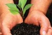 RECOMENDACIONES PARA CIRCULACION SOSTENIBLE POR CAMPO
