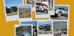 COLLAGE (Small).jpg