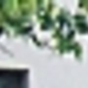 picos grupo guay.jpg