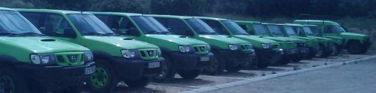 coches alquiler peq.JPG