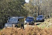 LOS IBORES 2015. Sábado 21/11/2015. (Cáceres)