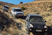 SIERRA DE PELA 24.oct.21 (Soria)