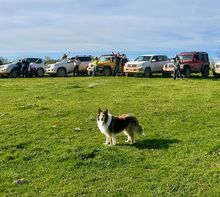 Próximas Actividades: